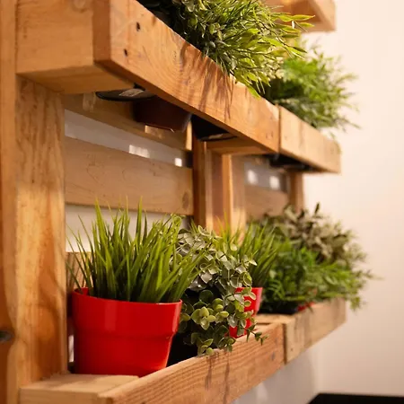 Prime Location Stylish Flats *